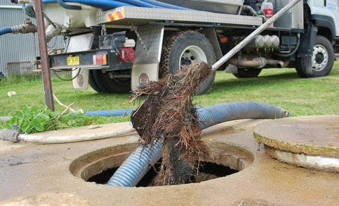 racines arbres dans canalisation